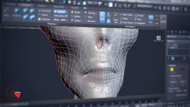 Exploring 3D Studio Max Topology Tools