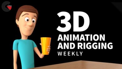 3D Animation and Rigging Weekly