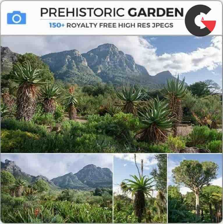 Photobash – Prehistoric Garden