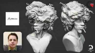 Stylized sculpting from real life references in zBrush