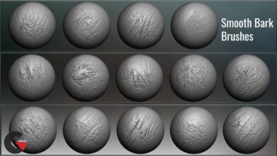 Tree Maker: 117 ZBrush Brushes, 50 Alphas and 8 Tree Basemeshes ...