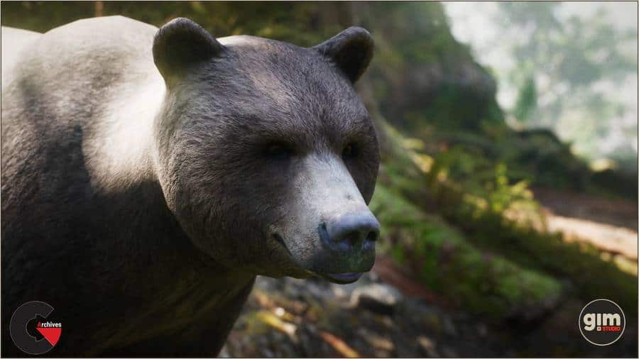Unreal Engine - Animalia - Brown Bear male