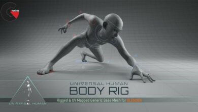 universal human body rig for blender