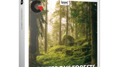 BOOM Library – Coniferous Forests STEREO & SURROUND Edition