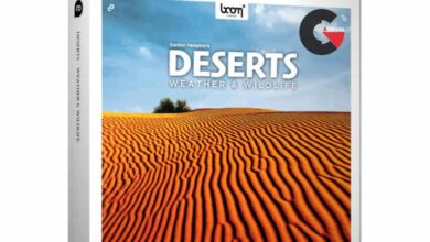 BOOM Library – Deserts Weather & Wildlife STEREO