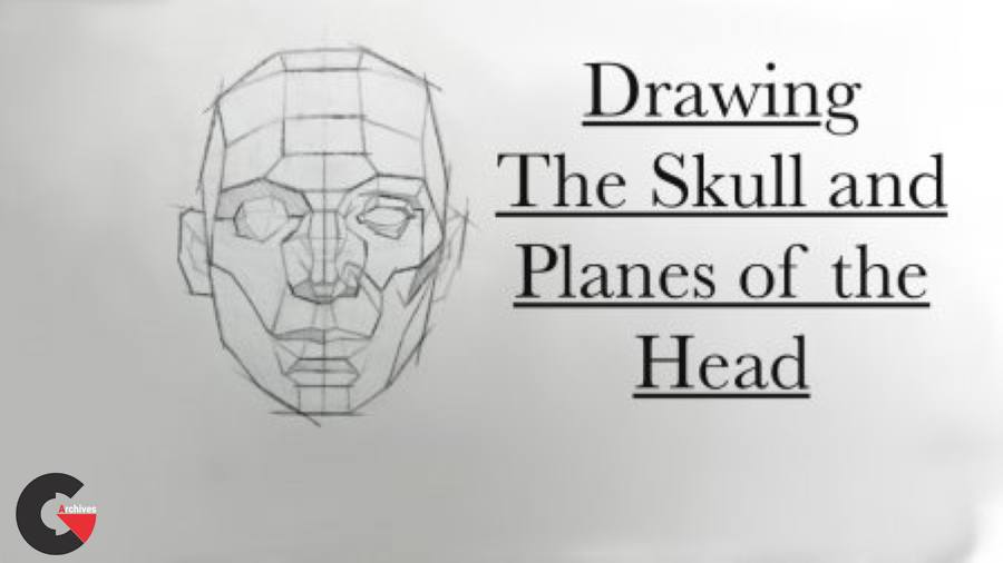 Skillshare – Drawing the Skull and Planes of the Head