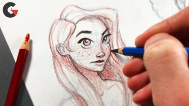 The Ultimate Drawing Course - Beginner to Advanced