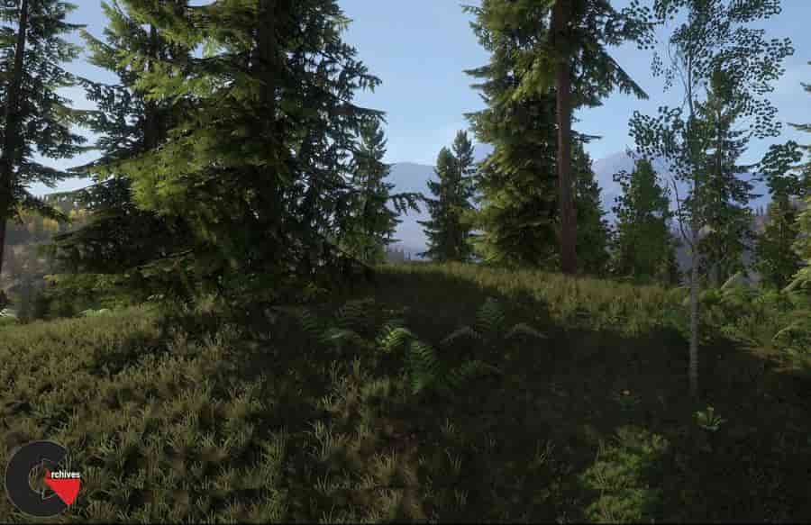 Unreal Engine - Realistic Forest Pack