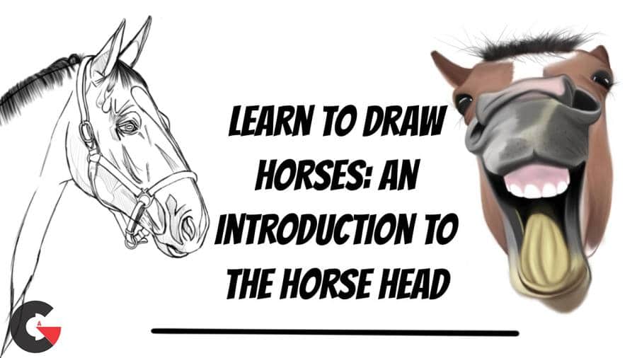 skillshare - Learn To Draw Horses An Introduction To The Horse Head