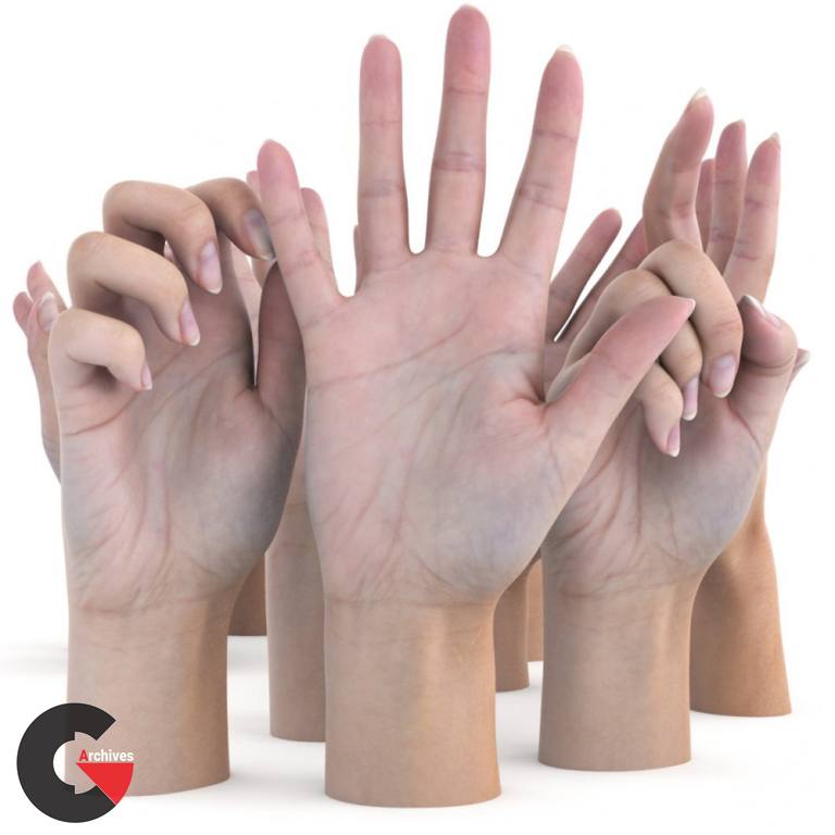 3D Scan Store – Ultimate Female Hands Pack