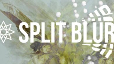 Aescripts - Split Blur for After Effects