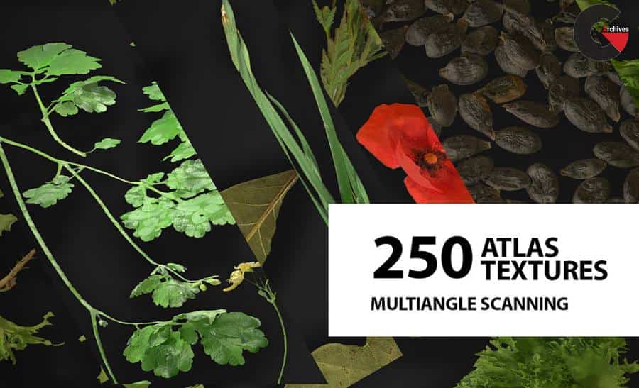 Artstation – Huge atlas pack (250) Foliage Spice Decals