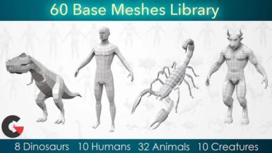 Cubebrush – 60 Base Meshes Library