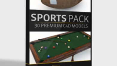 The Pixel Lab – Sports Pack 30 C4D Models
