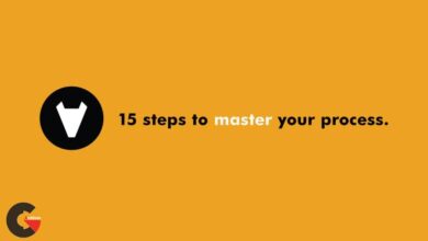 15 Steps to Master your Process