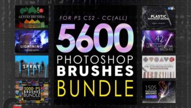 Creative Market – 5600 Photoshop Brushes Mega Bundle