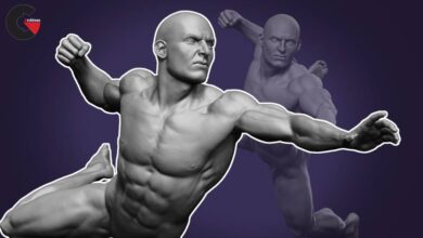 Dynamic Male Anatomy for Artists in Zbrush Make Realistic 3D Human Model