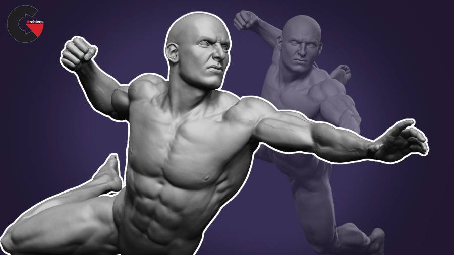 Dynamic Male Anatomy for Artists in Zbrush Make Realistic 3D Human Model