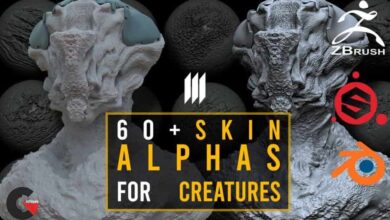 Skin Alphas For Creatures Zbrush Substance Painter Blender