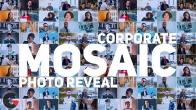 Videohive - Mosaic Photo Reveal Corporate Logo 30636914