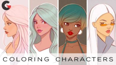 skillshare - Digital Illustration Coloring Female Characters in Procreate