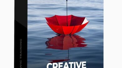 Chris Orwig – Creative Mind Masterclass