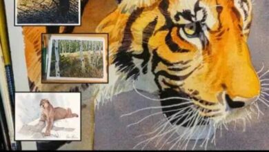 Creature Art Teacher – Watercolor Painting Course with Aaron Blaise Gift