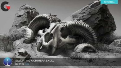 Experience points – Sculpting a Chimera Skull with Phil Liu