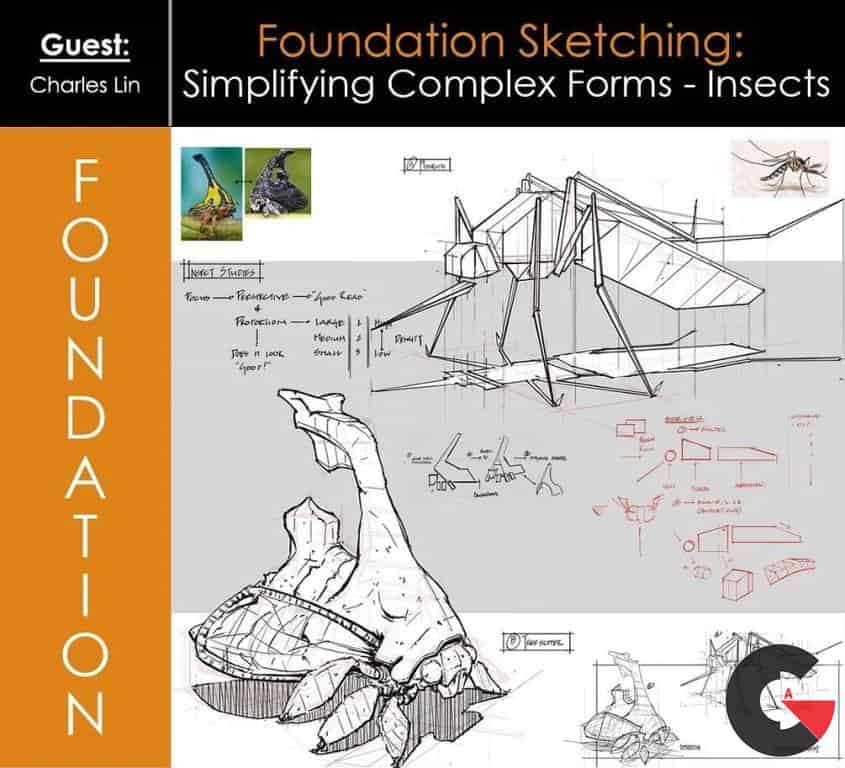Foundation Patreon – Foundation Sketching Simplifying Complex Forms– Insects