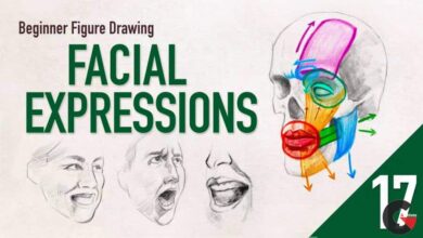 Skillshare – Beginner Figure Drawing – Facial Expressions
