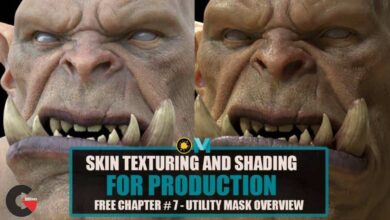 Skin Texturing And Shading In Mari And Arnold