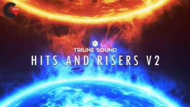 Triune Digital - Hits and Risers