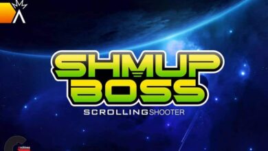Asset Store - Shmup Boss