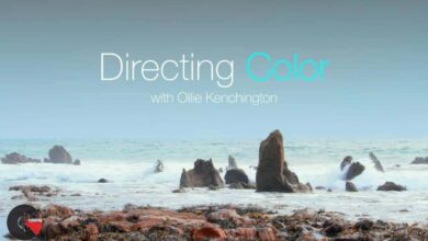 MZed – Directing Color with Ollie Kenchington