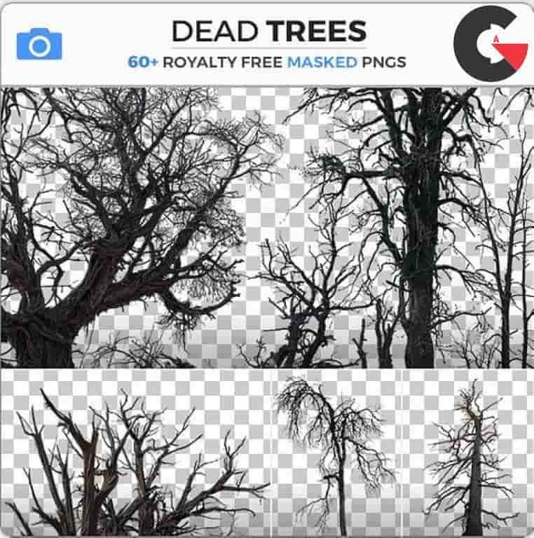 Photobash - Dead Trees