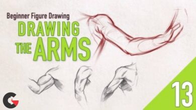 Skillshare – Beginner Figure Drawing - Drawing The Arms