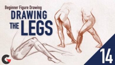 Skillshare – Beginner Figure Drawing - Drawing The Legs