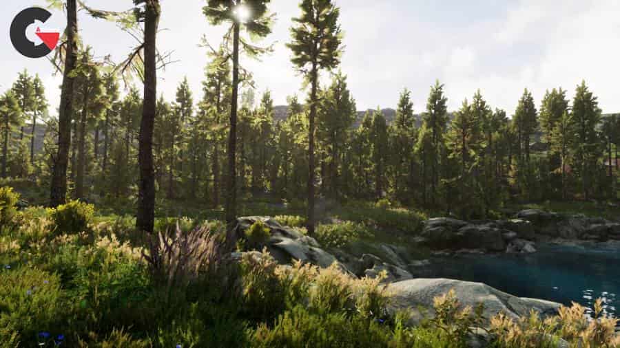 Unreal Engine - Landscape Pro 3 - Automatic Natural Environment Creation Tool 