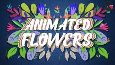 Videohive - Animated Flowers 32690336
