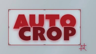 Aescripts - Auto Crop for After Effects