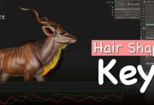 Blender Market – Hairshapekey