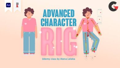 How to set advanced character rig with DUIK in After effects