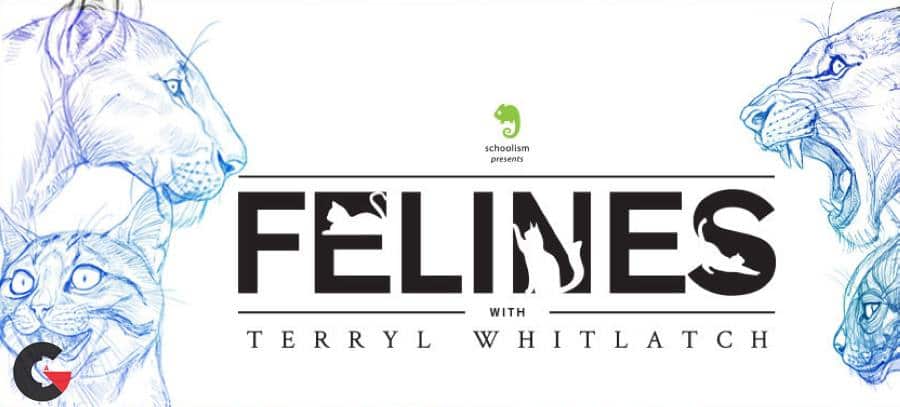 Schoolism - Felines with Terryl Whitlatch