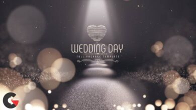 Videohive - Wedding Day 22214341