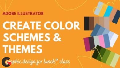 skillshare - Create Color Schemes and Themes in Adobe Illustrator - A Graphic Design for Lunch™ Class