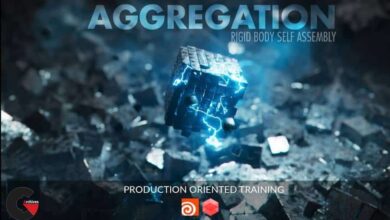 CGCircuit – Aggregation – Rigid body Self Assembly