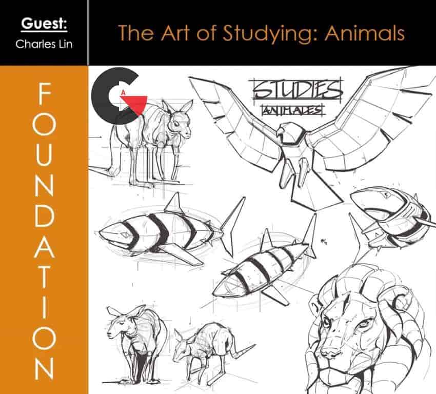 Foundation Patreon – The Art of Studying Animals by Charles Lin