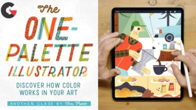 Skillshare - The One-Palette Illustrator Discover How Color Works in Your Art