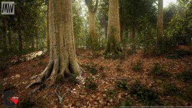 Unreal Engine - MW Broadleaf Trees Forest Biome