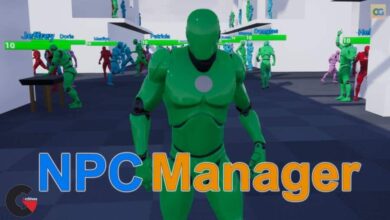 Unreal Engine - NPC Manager System